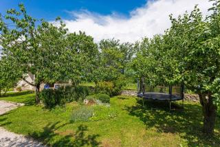 Galant in Prkačini (Haus für 4-5 Personen) - Žminj - 4