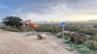 Mar Blau Estartit Rental - L'Estartit - 4