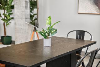 Modern Uptown Dallas Retreat - 6