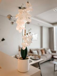 1 Bedroom Luxury Penthouse Catamaran City View - 9