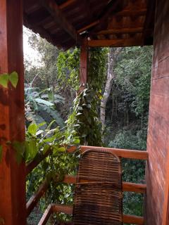 Casa da Árvore - 6