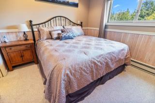 SR30 Updated Shamrock Condo Ski Access Fireplace - 8