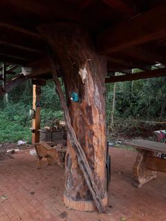 Casa da Árvore - 4