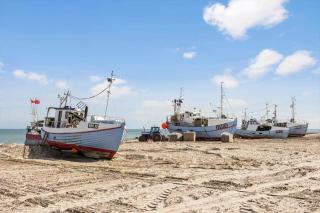JB365-Fjerritslev-Hedestien-9 - 5