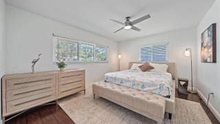 Sarasota Solitude - 5