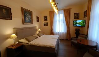 Luxury Gato View Apartment Karlovy Vary with private parking - 8