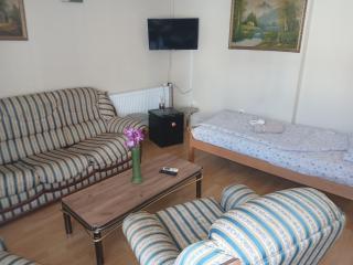 Aleksinac Centar Two-Bedroom Apartment - 8