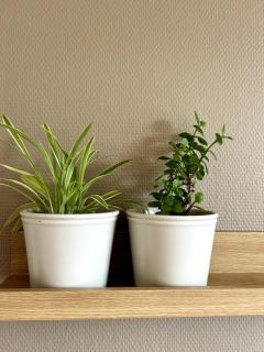 Vitaflow Logies met sauna - 3