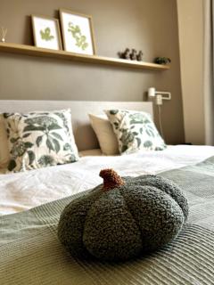 Vitaflow Logies met sauna - 5