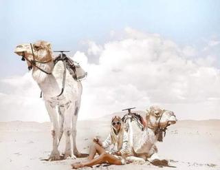 Merzouga Luxury Glamping - 0
