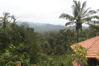 Dishaa Home Stay - 5