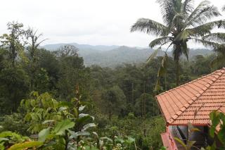 Dishaa Home Stay - Madikeri - 4