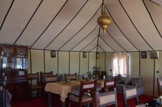 Overnight Luxury Camp jeep camel - 2