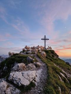 Apartment Austria - 4