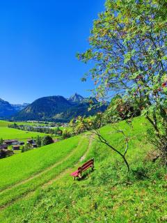 Apartment Austria - 2