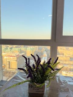 Comfort City Apartments 179 - 5