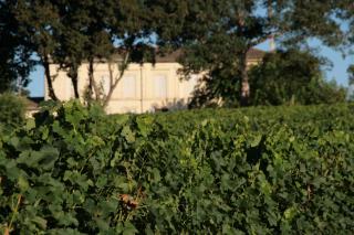 Chambres d'hôtes proche St Emilion avec petit déjeuner - 7