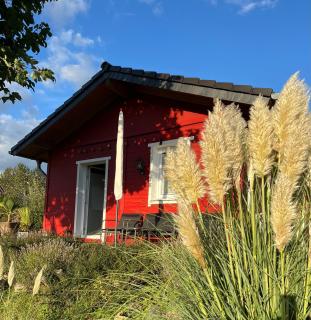 Tiny House LORE - 0