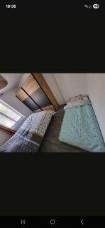 De l'herbe jusqu'aux genoux - appartement 60 m2 - 7