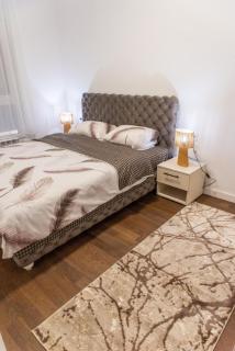 I&I Tesla 2Bedrooms V - 2