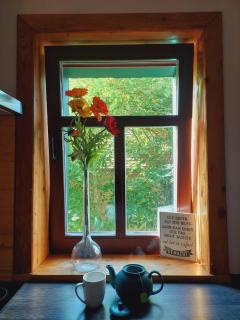Gemütliches 1-Zimmer-Appartment mit Balkon - 9
