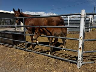 The Bar R Ranch LLC - 5