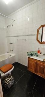 Red Rose Apt Miguel Pereira - 7