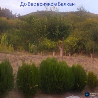 Вила до Гората - 2