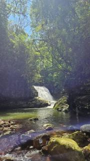 Ecoparkaktamira - 4