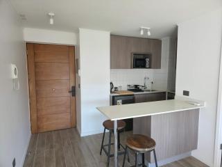 Charming 1BR Retreat in Nunoa for Three - 7