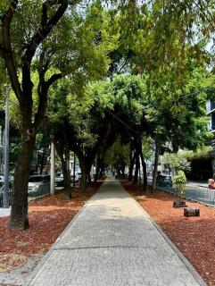 Beautiful Cozy 2 Bedroom apartment in La Condesa - 6