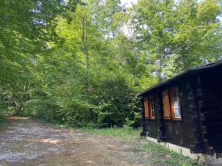 Refuge Nature - Chalet avec Terrasse vue forêt - 1
