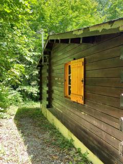 Refuge Nature - Chalet avec Terrasse vue forêt - 5