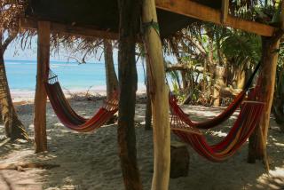 Paradise - 4