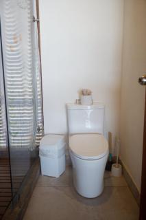 Gaviota Beachfront Room with Pool, Troncones - 6