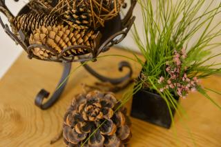 Allegra Wohlfühl Appartements - 1