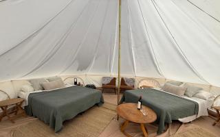 The Nest at Hummingbird Hill - Glamp tent - 4