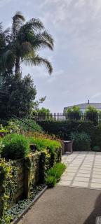 Tranquil Haven - 2