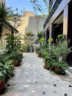 Roma Luxury Apartment Balcon y Pet Friendly - 5