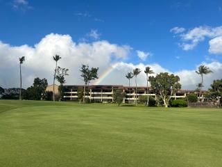 F 101 Kaanapali Royal Resort Ground Floor Upgraded Condo - 0