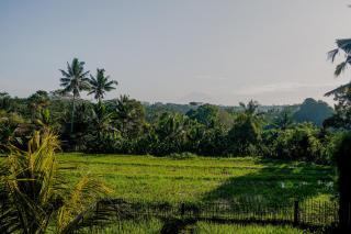 Dukuh Ubud Villa - 8