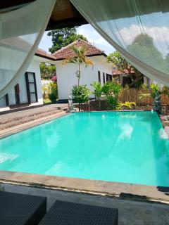 Lovina villa cinta - 1