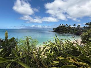 Ocean-Facing Maui B&B Room - Breakfast, BBQ & AC - 6