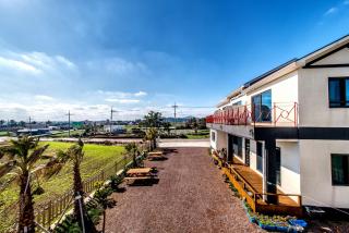 Lohas Pension - Seogwipo - 4