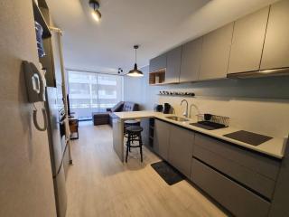 New apartment Santiago downtown, Toesca metro station and Movistar - 5