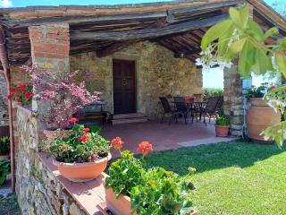 Farmhouse in Tuscany with Olive Grove Views - 4