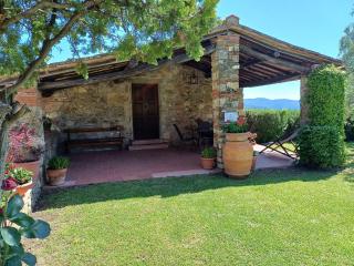 Farmhouse in Tuscany with Olive Grove Views - 1