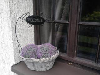 Wałpusz Holiday Home - Szczytno - 5