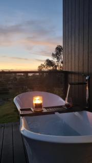 Architecturally designed cabin with outdoor bathtub and fireplace - 4