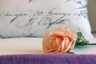 Blue Rose - 1